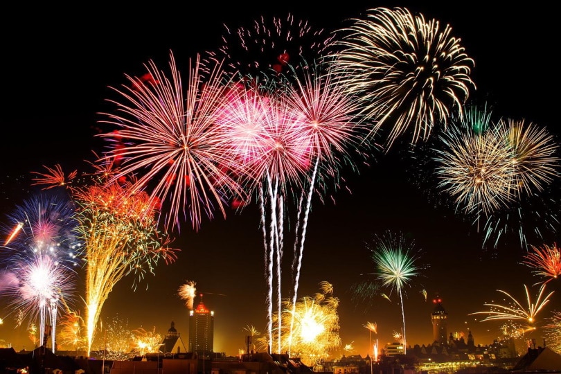 Why Does My Dog Bark at Fireworks? 9 Reasons & How to Stop It