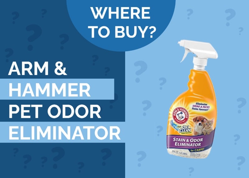 Where to Buy Arm & Hammer Pet Odor Eliminator in 2026 (Online & In Store)
