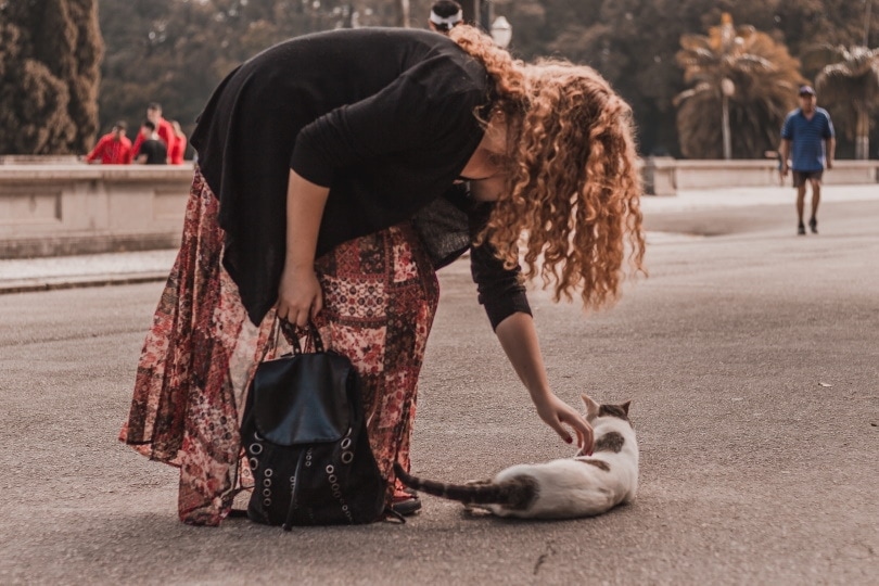 Why Do Cats Follow Strangers? 4 Reasons & What to Do If a Kitty Follows You