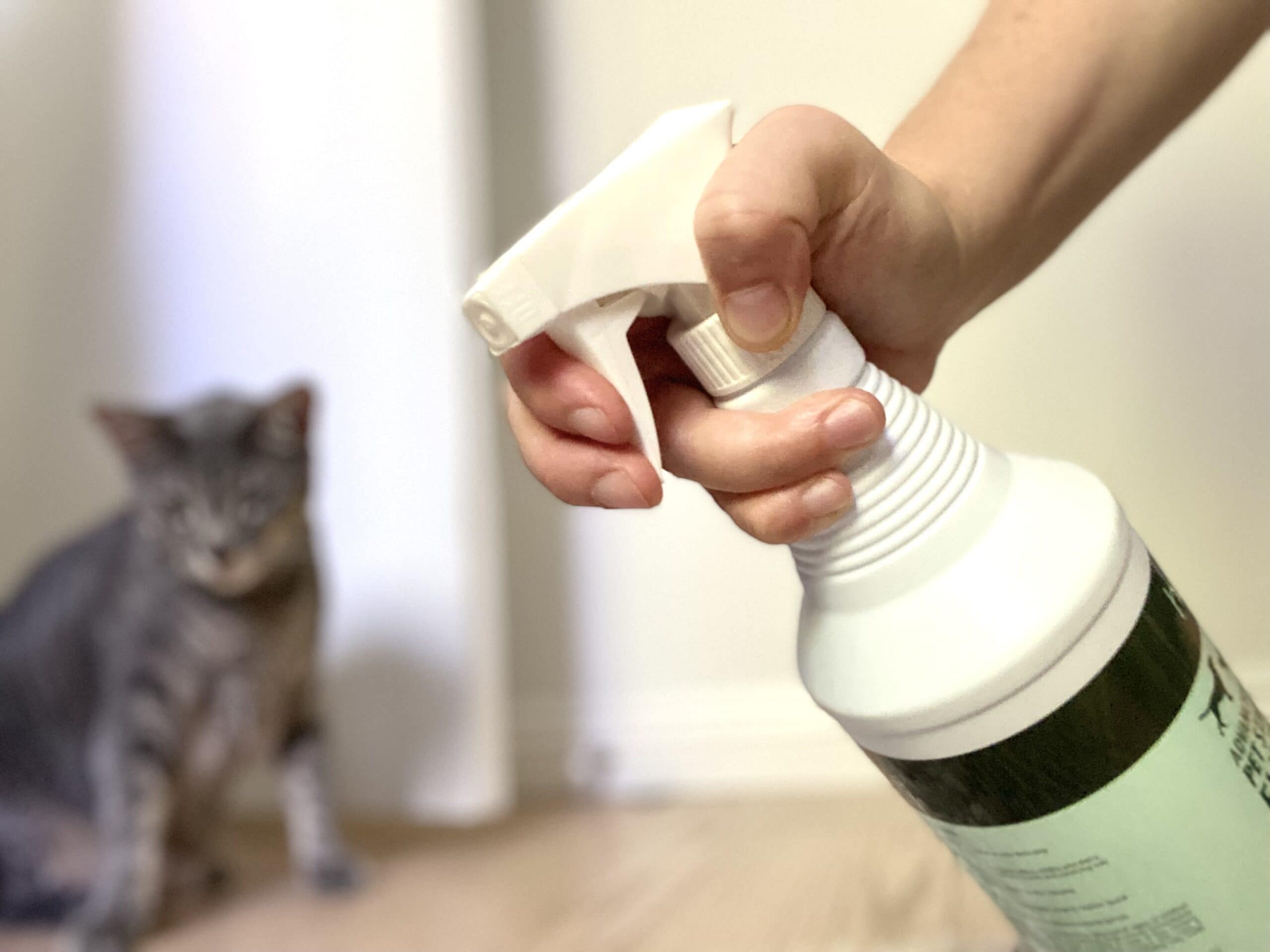 10 Best Pet Odor Eliminators in 2026 - Reviews & Top Picks