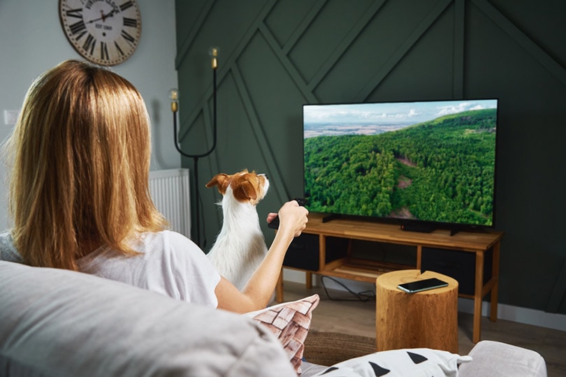 How To Stop a Dog From Barking At The TV in 5 Steps