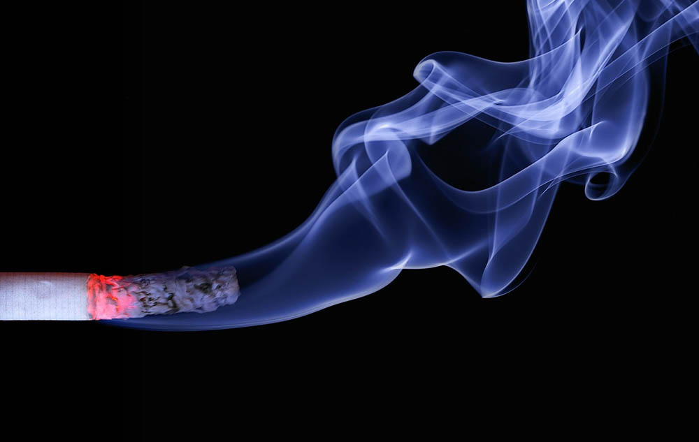 Nicotine Poisoning Effects on Dogs: Signs, Concerns & Treatment (Vet Answer)