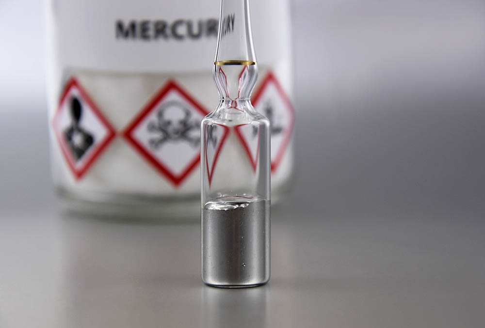 Mercury Poisoning in Cats: Causes, Signs & Treatment (Vet Answer)