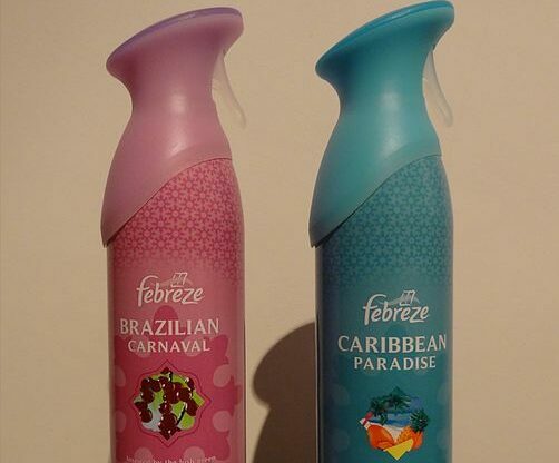 Does Febreze Kill Fleas? Vet-Reviewed Tips on Safety & Effectiveness