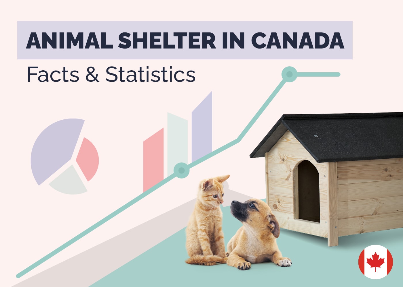 17 Animal Shelter Statistics in Canada: Facts to Know in 2026