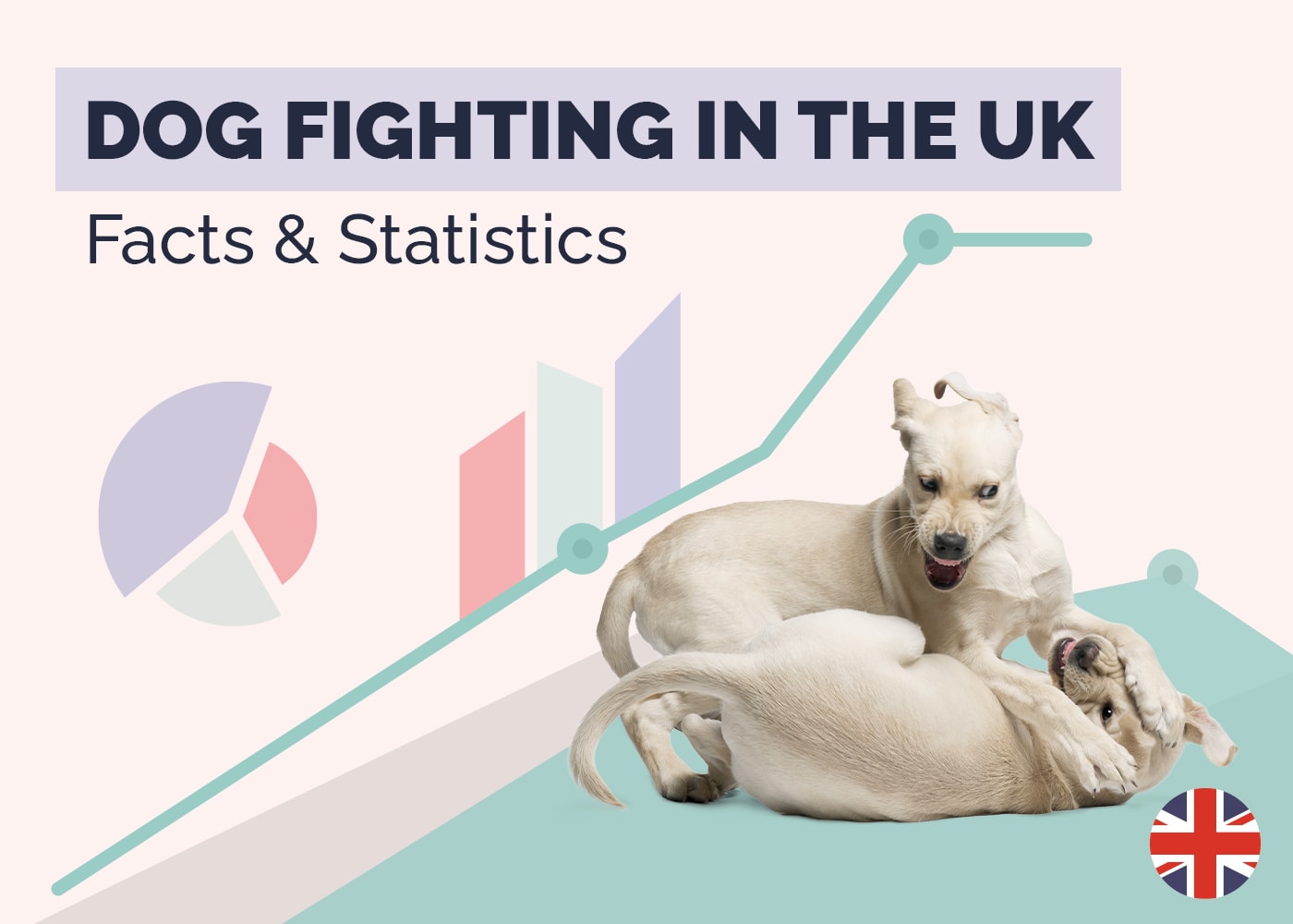 15 Shocking UK Dog Fighting Statistics & Facts: 2026 Update