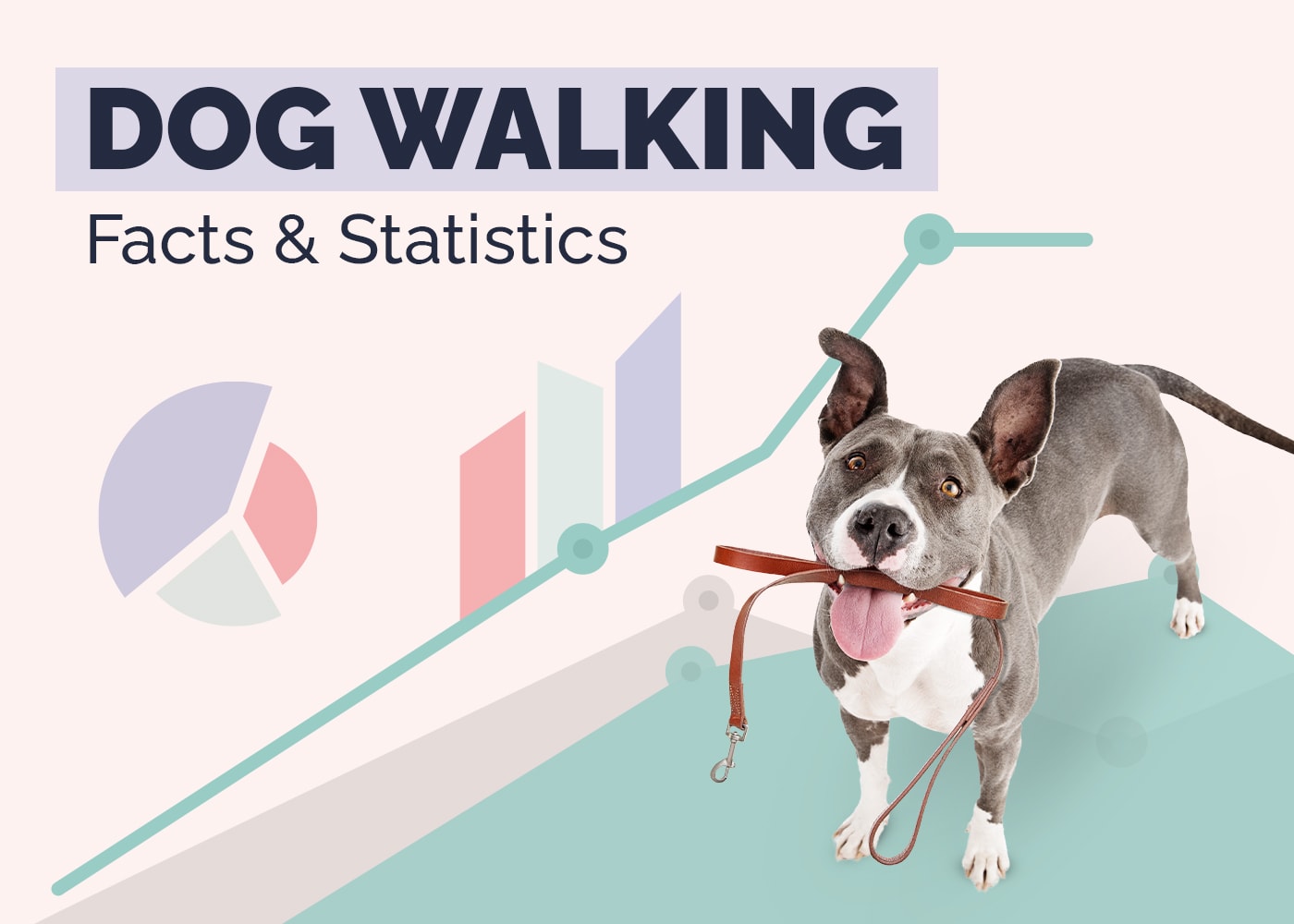 12 Dog Walking Statistics & Facts to Know (2026 Update)