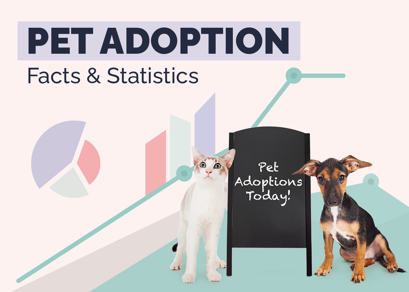 18 Interesting Pet Adoption Statistics & Facts to Know in 2026