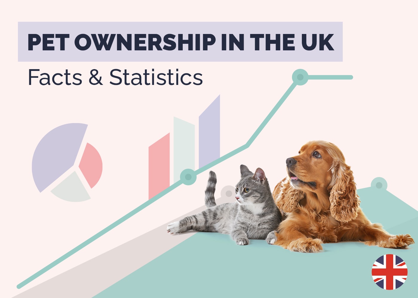 20 UK Pet Ownership Statistics & Facts to Know (2026 Update)