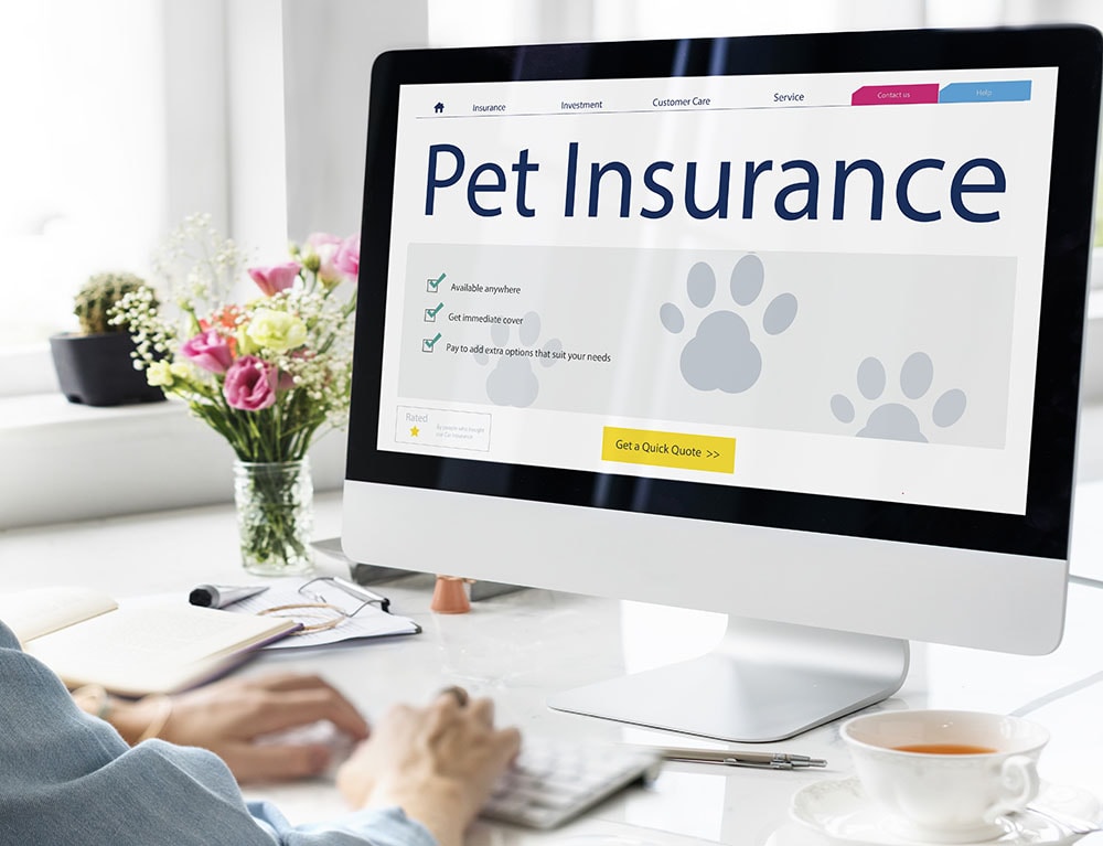When Is National Pet Insurance Month 2026? Facts & FAQ