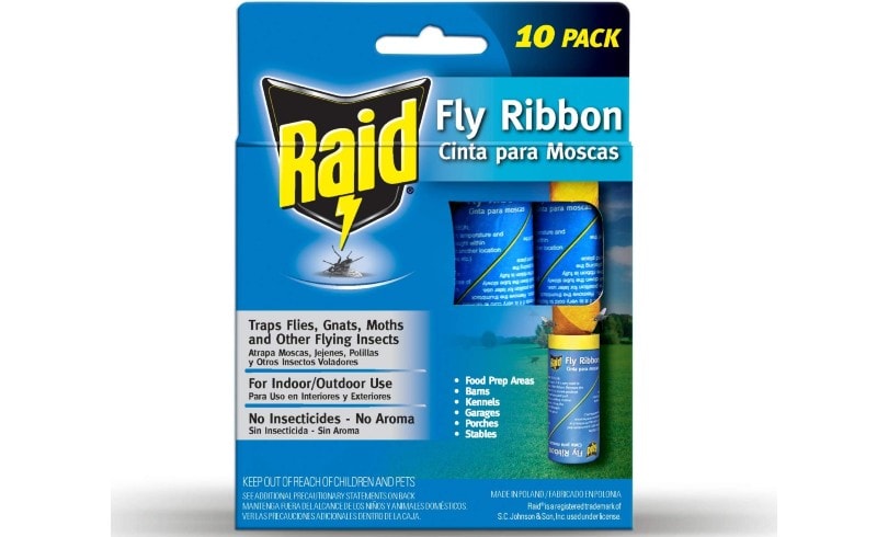 Are Raid Fly Ribbons Toxic to Cats? What to Know!
