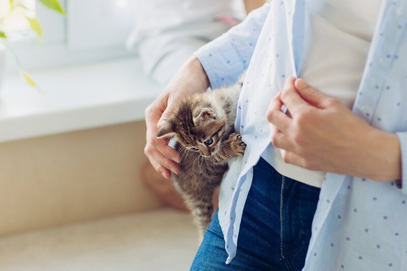 Why Does My Cat Use Me as a Scratching Post? 5 Vet-Approved Reasons