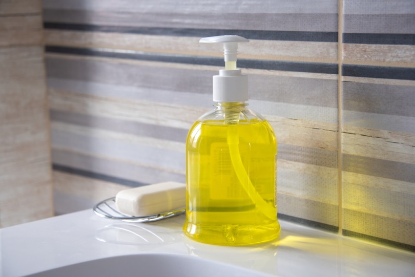 Is Hand Soap Toxic to Cats & Is It Effective for Cleaning? (Vet-Reviewed)