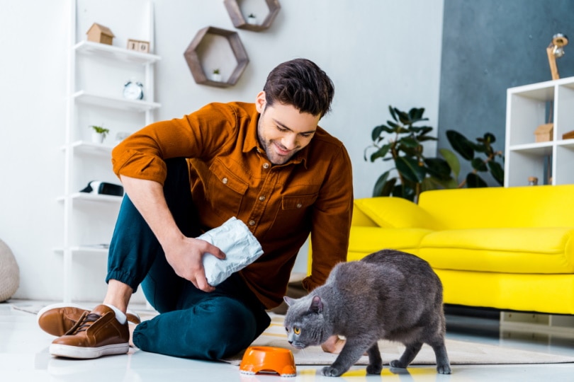 How Can I Put My Cat on a Diet: 9 Vet-Approved Ways