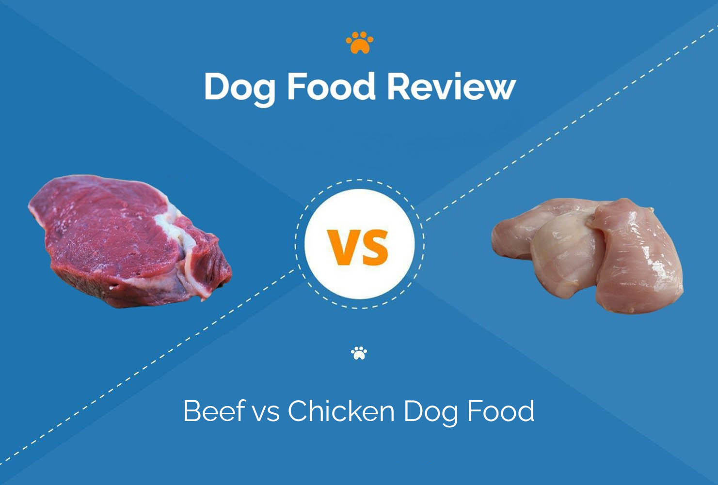 Beef vs Chicken Dog Food: What Should I Choose?