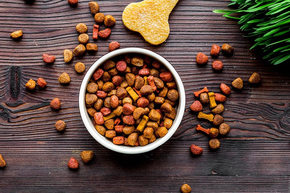 How Do I Add Grain to a Grain-Free Dog Food? Vet-Approved Tips