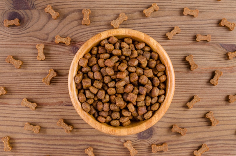 Do Dogs Like Dog Food? Vet-Verified Facts & Info