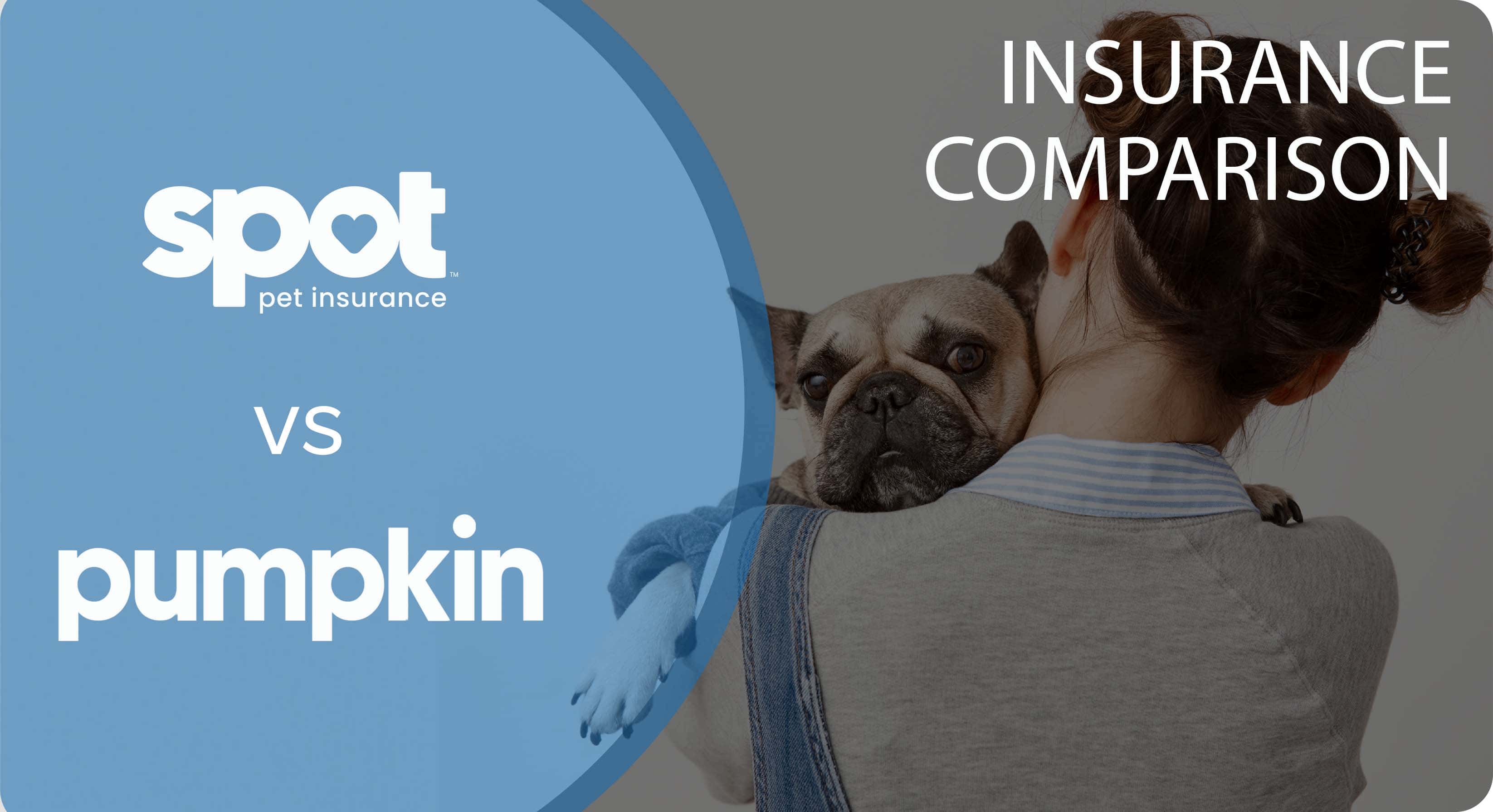 Spot vs Pumpkin Pet Insurance Comparison 2026: Which is Best?