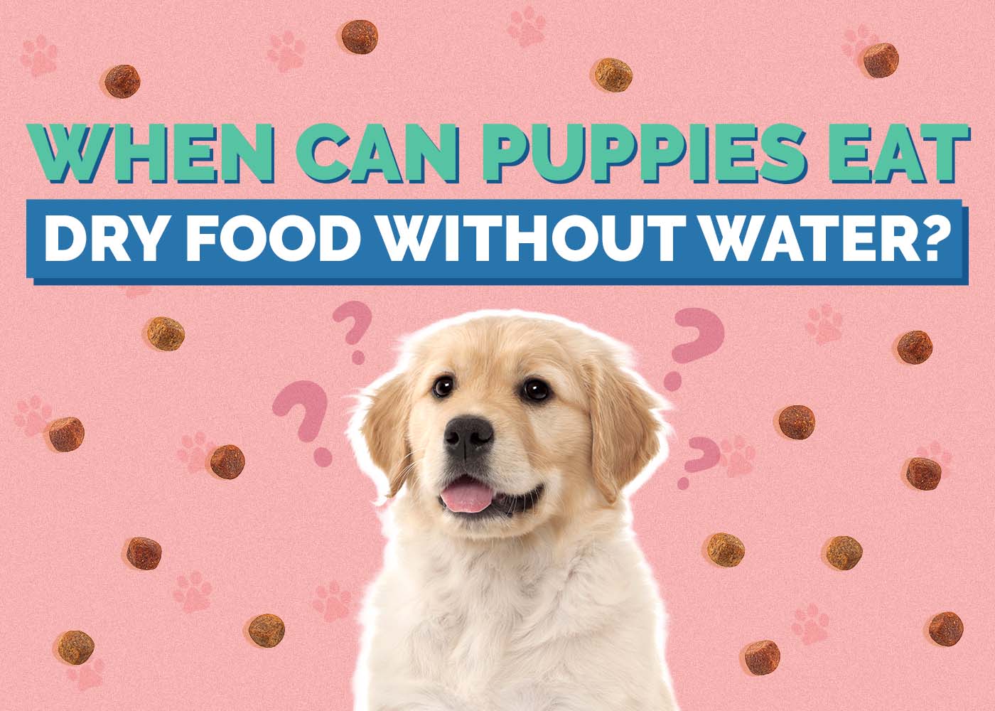 When Can Puppies Eat Dry Food Without Water? Vet-Approved Care Tips & FAQ