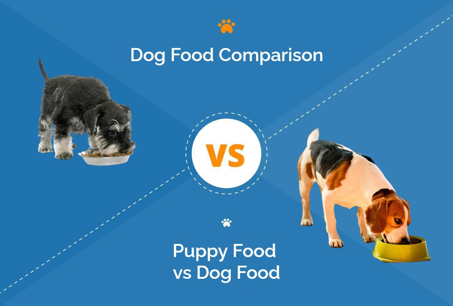 Puppy vs Adult Dog Food: How Are They Different?