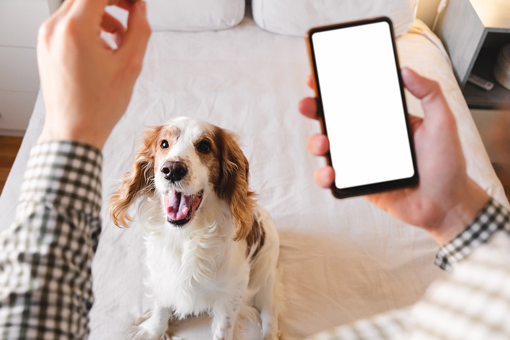 9 Best Dog Training Apps - 2026 Reviews & Top Picks