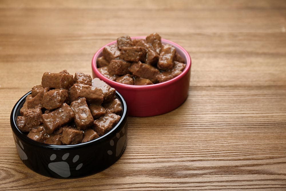 10 Best Wet Dog Foods - 2026 Reviews & Top Picks