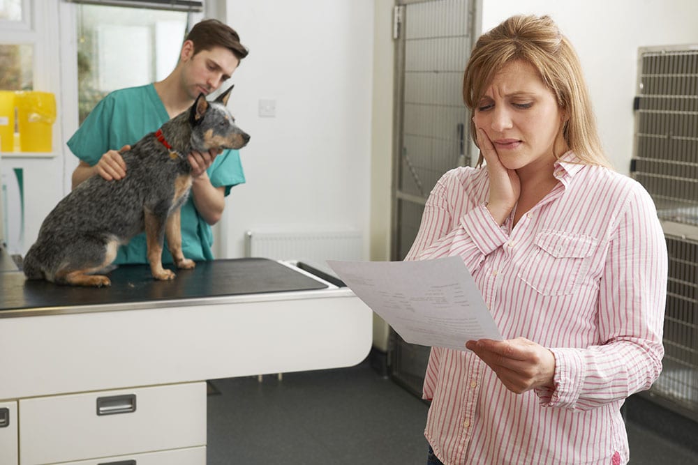 How Do I Save Money on My Vet Bills? 8 Expert Tips