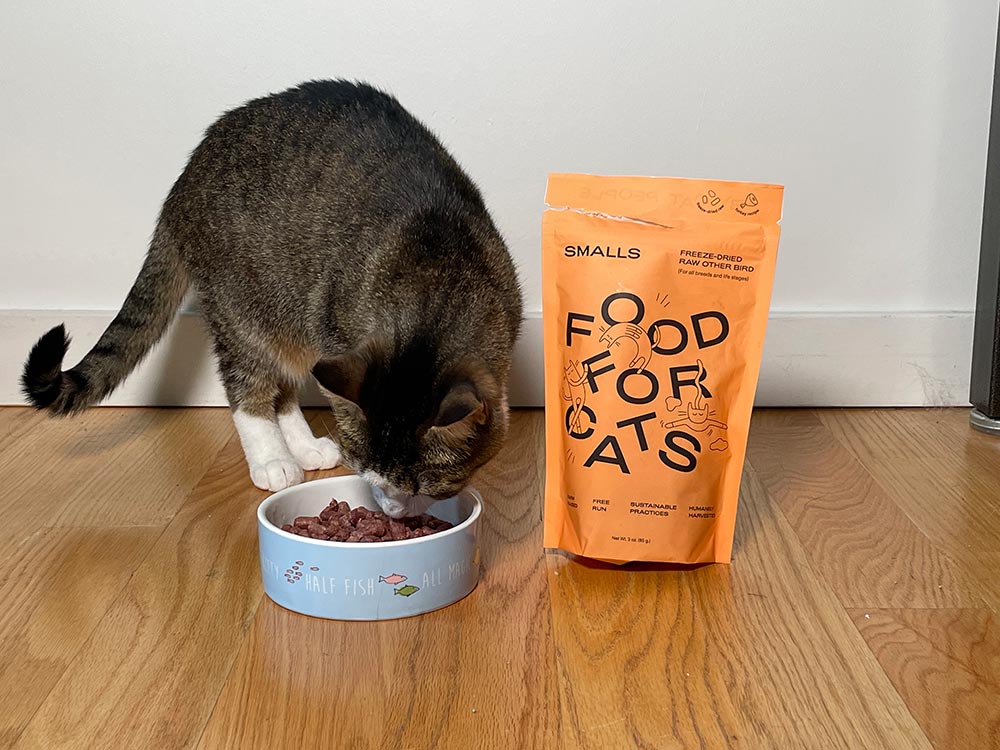 How Much Does Smalls Cat Food Cost? 2026 Price Guide