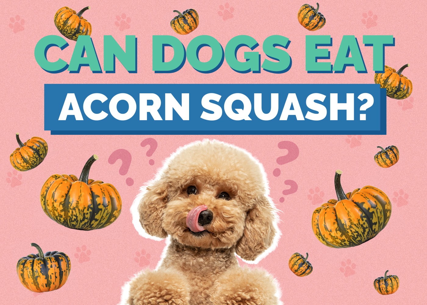 Can Dogs Eat Acorn Squash? Vet-Reviewed Facts & FAQ