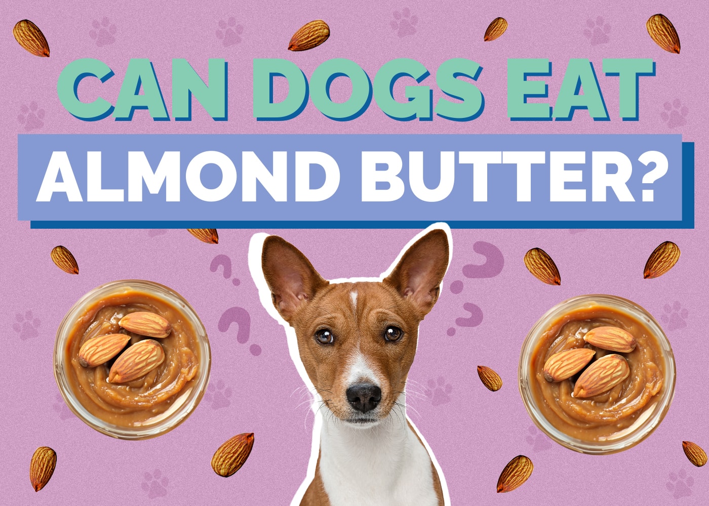 Can Dogs Have Almond Butter? Vet Approved Nutrition Facts & Safety Guide