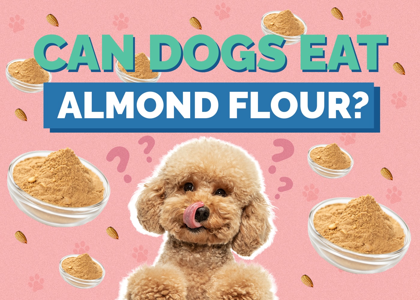 Can Dogs Eat Almond Flour? Vet-Verified Facts & Considerations