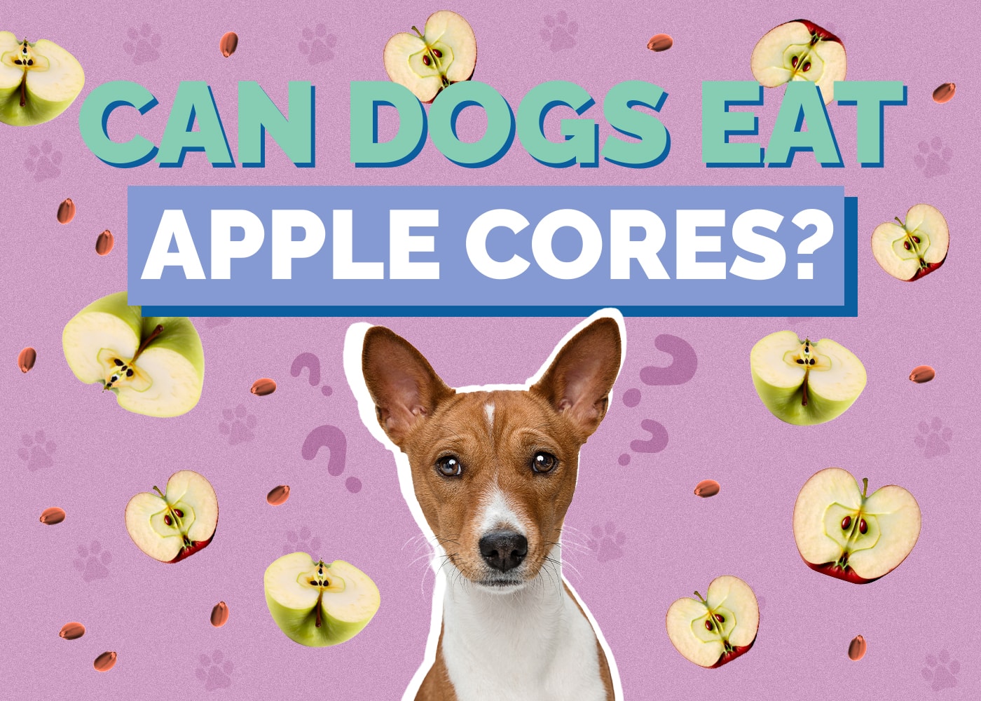 Can Dogs Eat Apple Cores? Vet-Approved Risks & Safety Tips