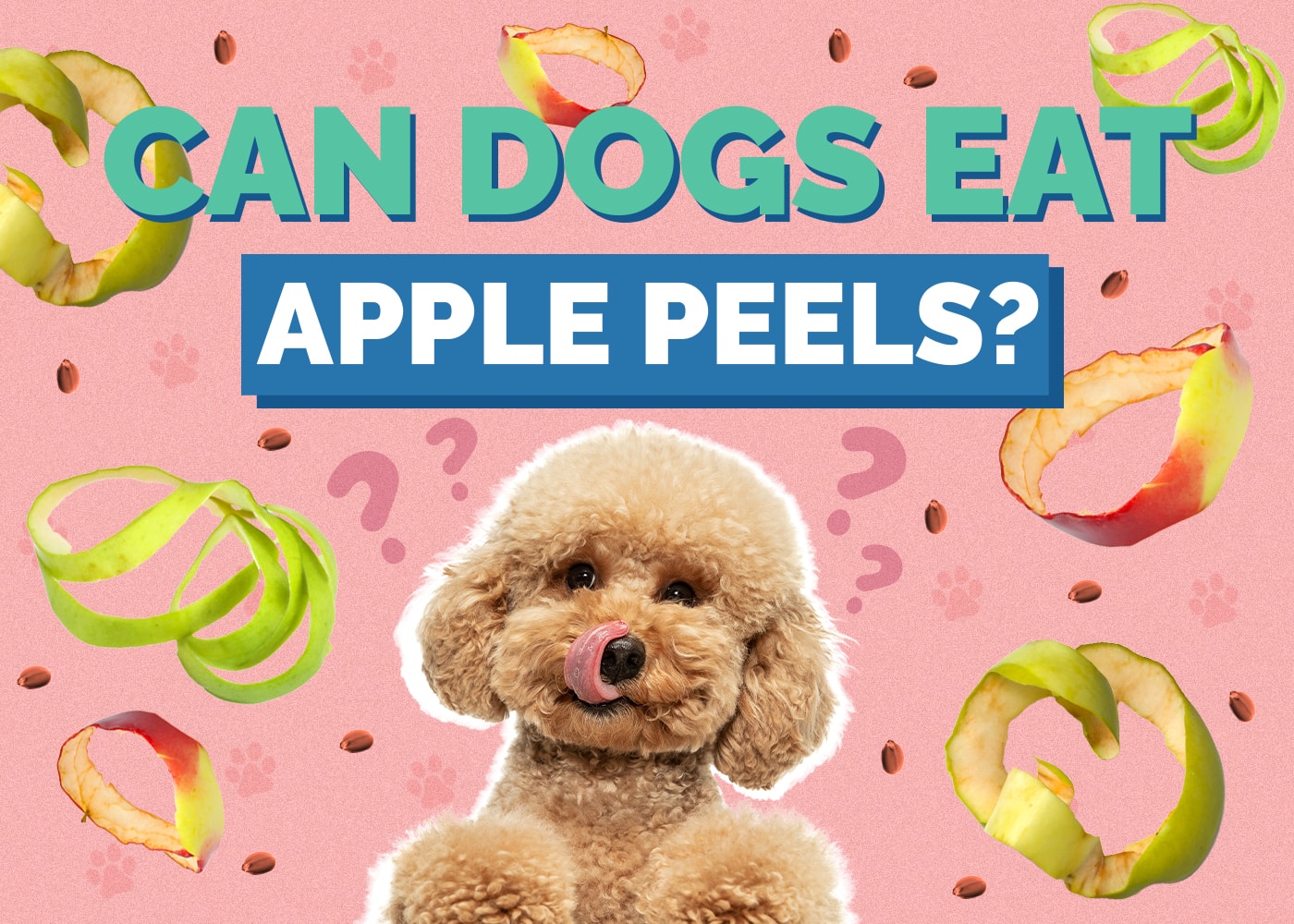 Can Dogs Eat Apple Peels? Vet Approved Facts & FAQ