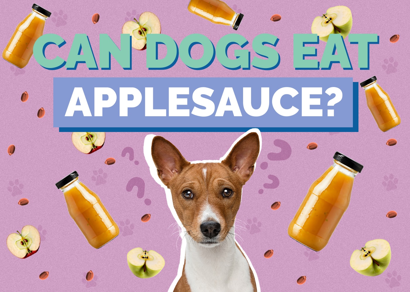 Can Dogs Eat Applesauce? Vet-Verified Facts & Safety Guide