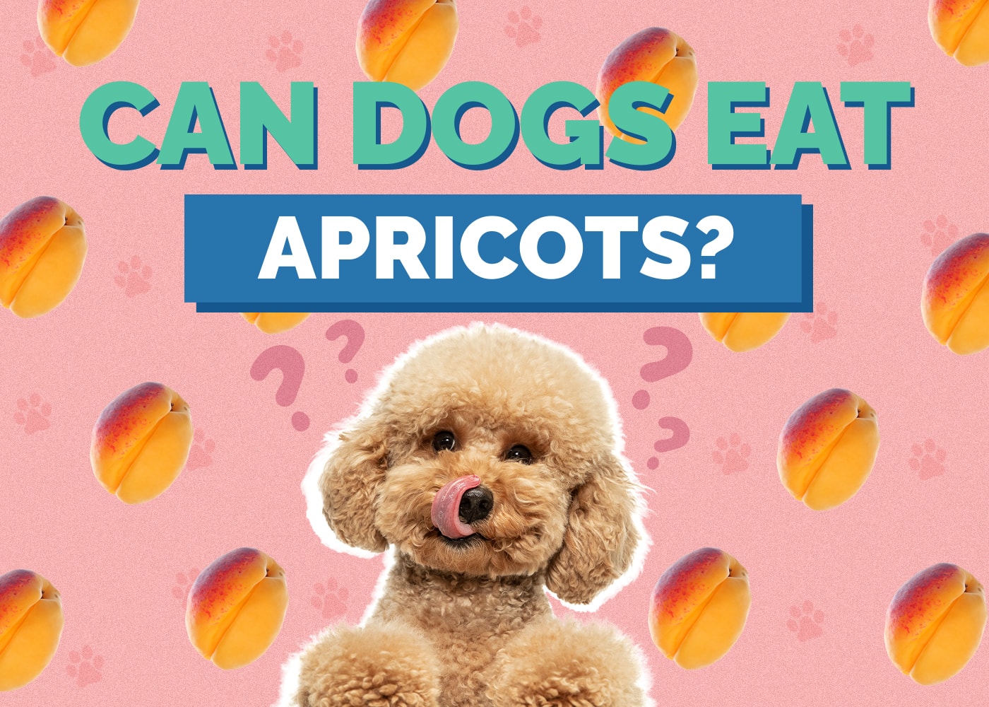 Can Dogs Eat Apricots? Vet-Approved Nutrition Facts