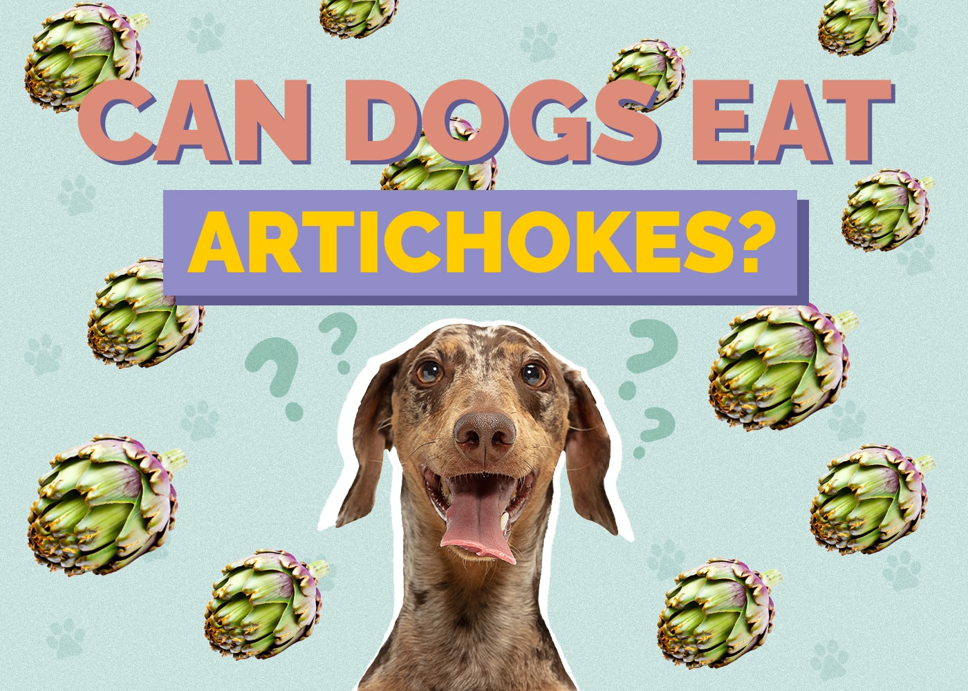 Can Dogs Eat Artichokes? Vet-Reviewed Benefits, Risks, & FAQs