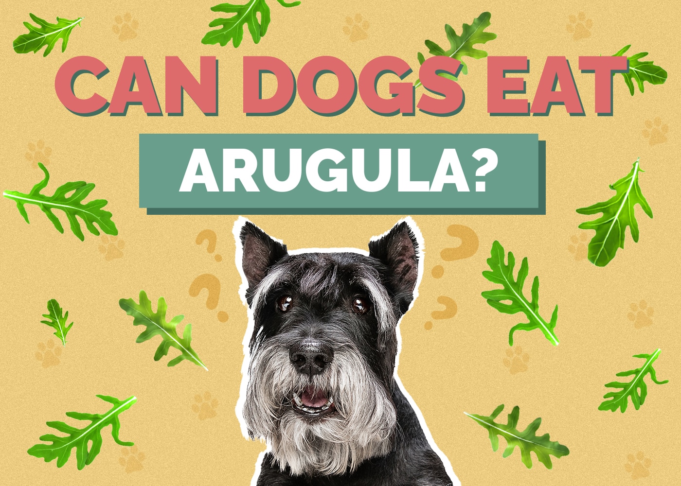 Can Dogs Eat Arugula? Vet-Reviewed Nutrition Facts & FAQ