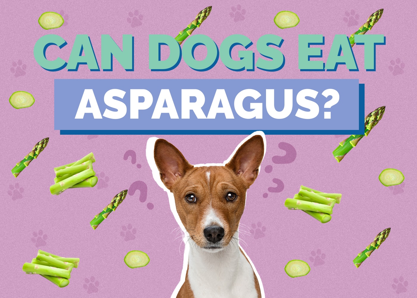 Can Dogs Eat Asparagus? Vet-Approved Health & Safety Facts