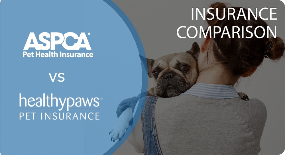 ASPCA vs. Healthy Paws Pet Insurance Comparison 2026: Which is Best?