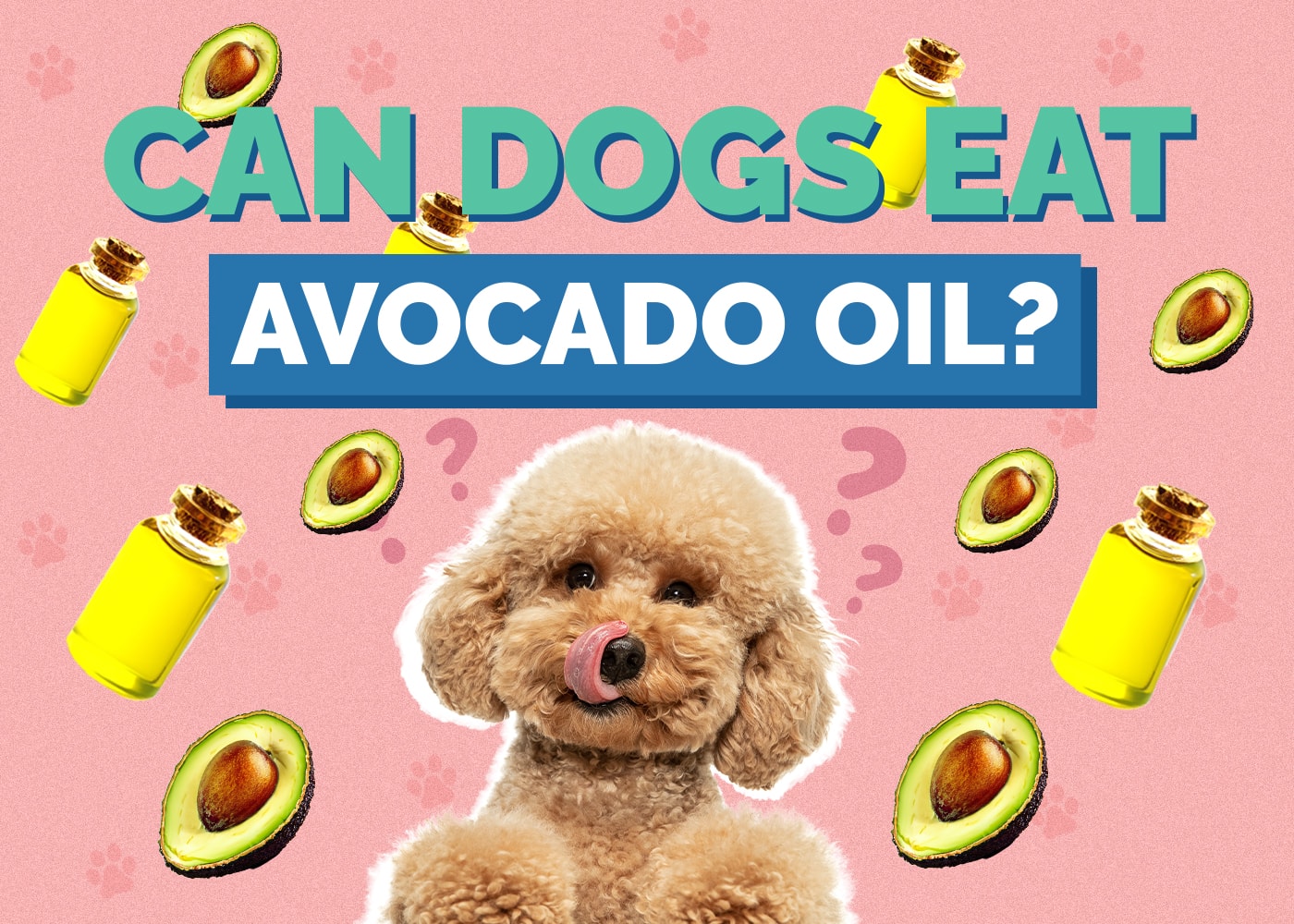 Can Dogs Eat Avocado Oil? Vet-Approved Facts & FAQ