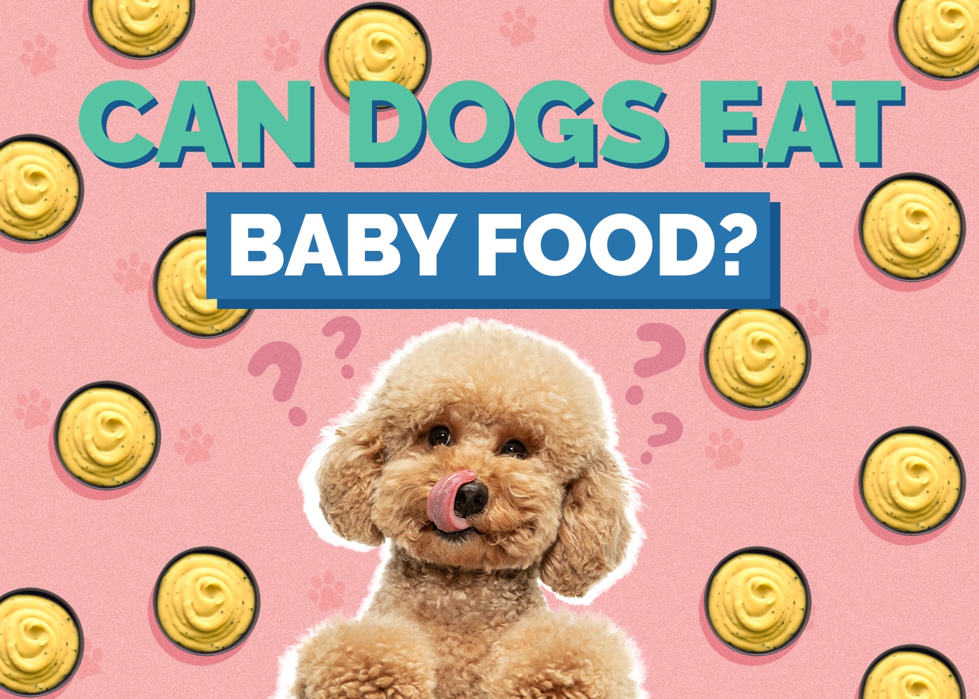 Can Dogs Eat Baby Food? Vet-Reviewed Facts & Safety Guide