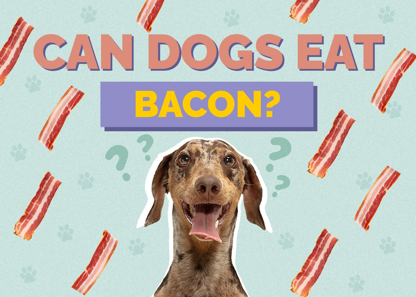Can Dogs Eat Bacon? Nutrition Facts & Safety Guide