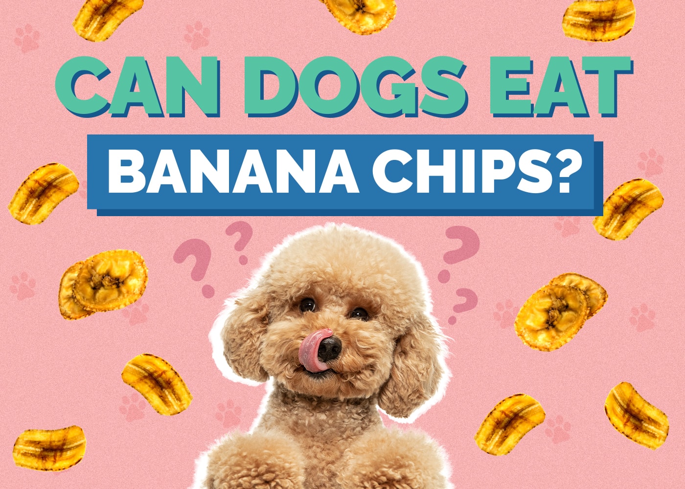 Can Dogs Eat Banana Chips? Nutrition Facts & Safety Guide