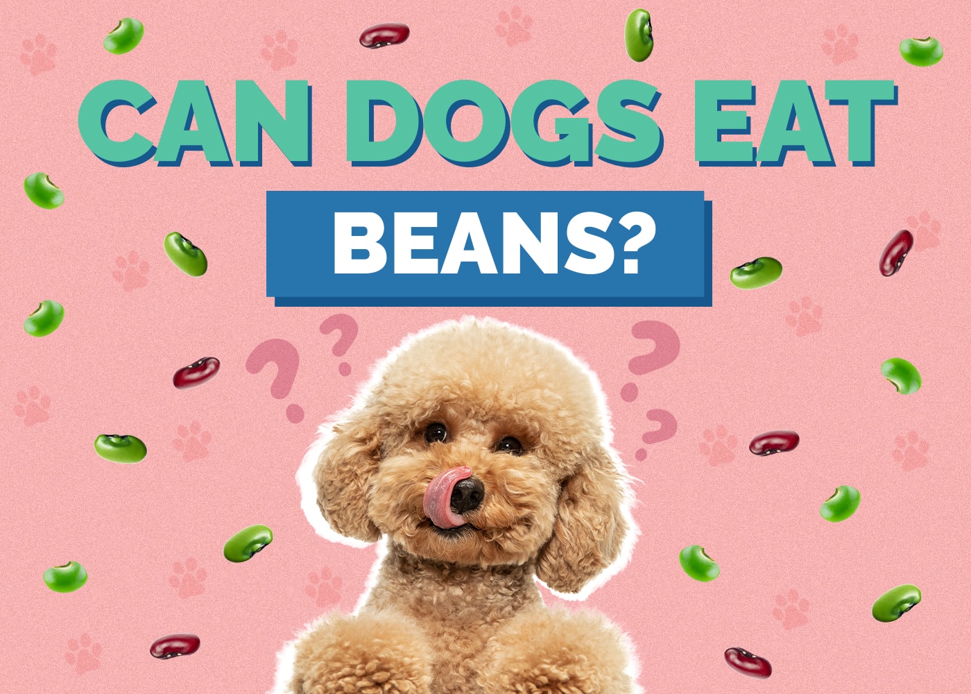 Can Dogs Eat Beans? Nutrition Facts & Safety Guide