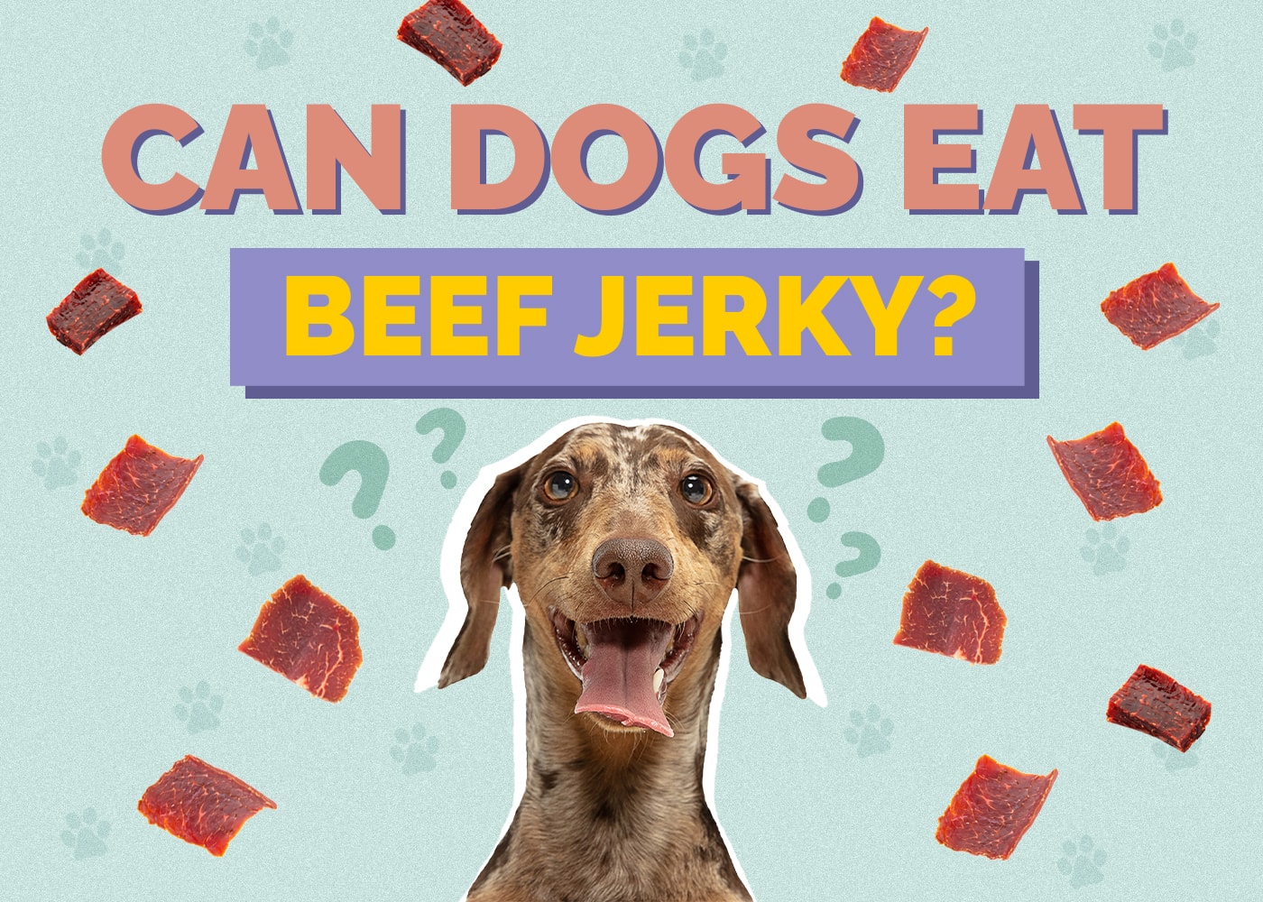 Can Dogs Eat Beef Jerky? Is Beef Jerky Safe for Dogs?
