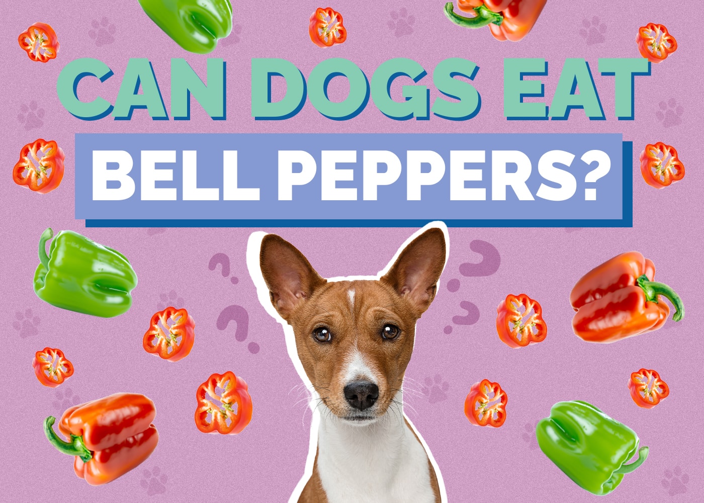 Can Dogs Eat Bell Peppers? Red, Yellow, or Green (Vet-Verified)