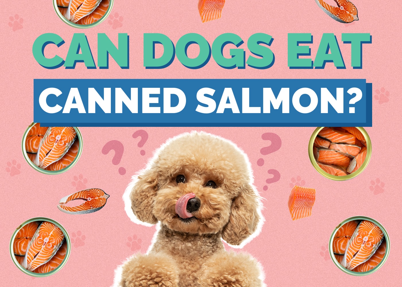 Can Dogs Eat Canned Salmon? Vet-Reviewed Facts & Health Guide