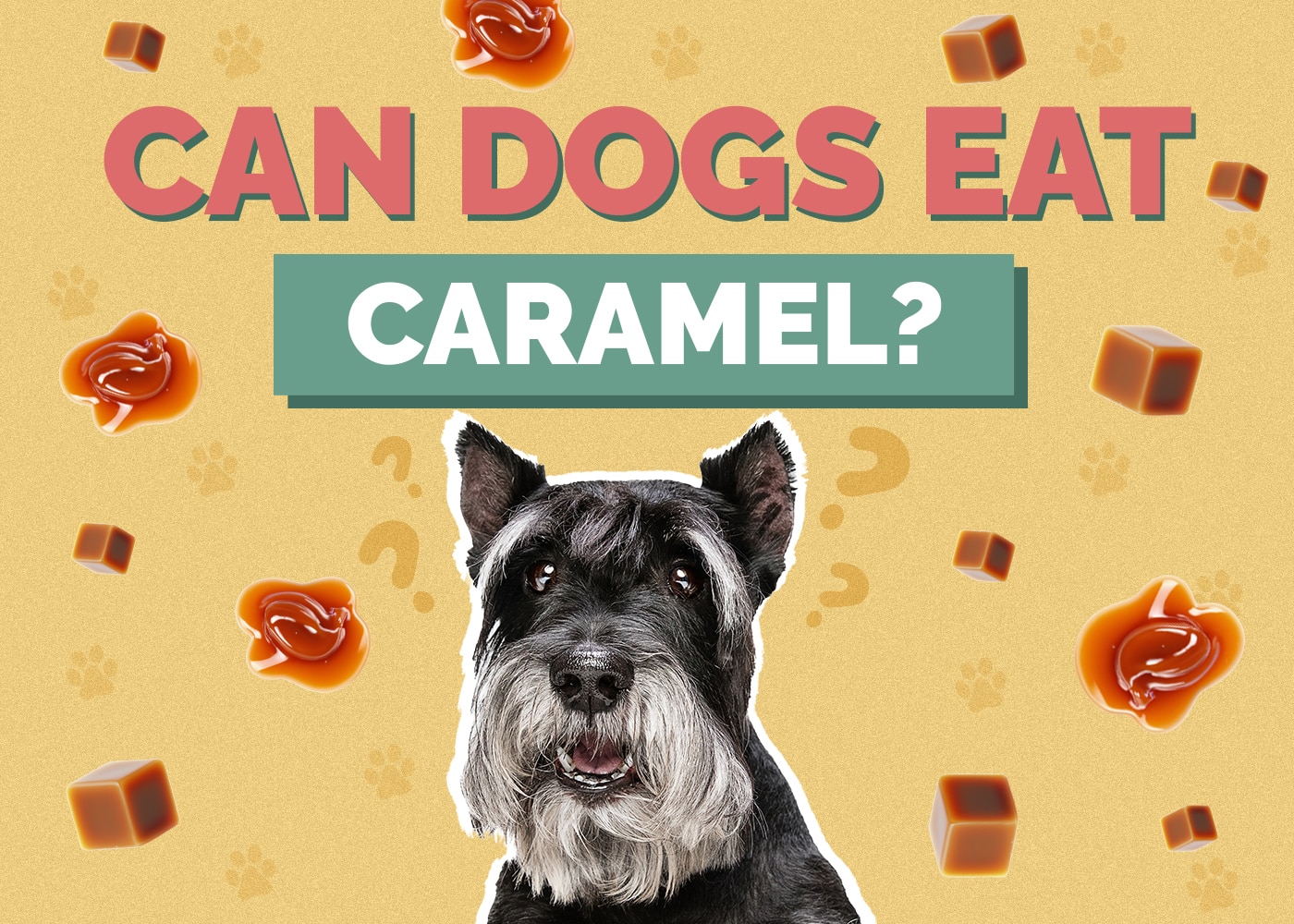 Can Dogs Eat Caramel? Vet-Verified Nutrition Facts & Considerations