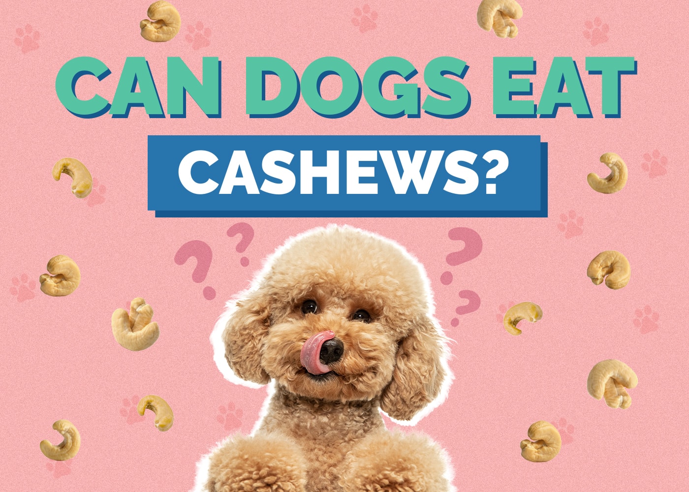 Can Dogs Eat Cashews? What You Need to Know!