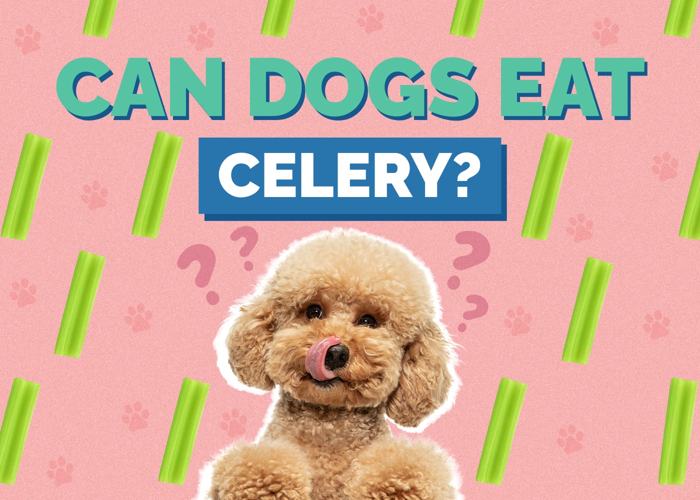 Can Dogs Eat Celery? Is Celery Safe for Dogs?